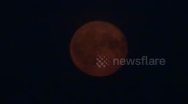 Full Sturgeon Supermoon appeared in the sky of St Petersburg, Russia