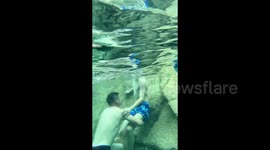 Drowning Chinese boy rescued after man spots him while filming underwater and shouts for help