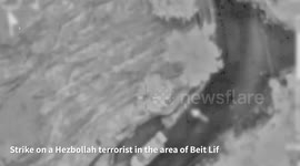 Lebanon: The IAF struck a Hezbollah terrorist in the area of Beit Lif, southern Lebanon