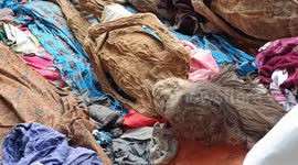 Apart from Egypt, Toraja also preserves the tradition of decorating and cleaning the mummies of their ancestors