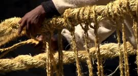 Peru: The last Inca bridge, a hand-woven structure