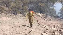 Turkey: Efforts Intensify to Combat Wildfires Across Multiple Regions in Turkey