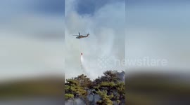 Turkey: Terrifying Video Reveals Turkish Wildfires and Heroic Rescue Efforts
