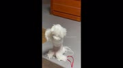 temp