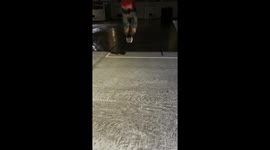 Man’s dance with cockroach captured in Kailua-Kona, Hawaii