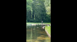 Expert Level Rock Skipping