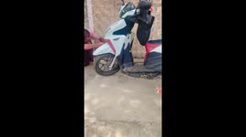 Scooter rider removes huge snake coiled up inside engine