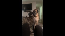 Girls just want to have fun