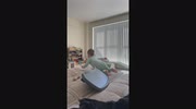 temp
