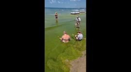 Tourists demand refunds as Anapa beaches flooded with algae