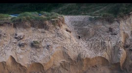 Daring dog plunges into sea after slipping off collapsing dunes in Cornwall