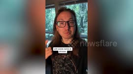 Artist rakes in $440k creating portraits of celebs by writing their name 10k times