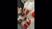 temp