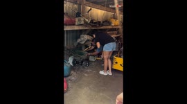 Dad catches snake under lawn mower after getting bitten twice in the process