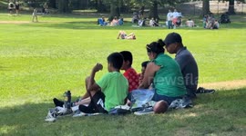 Central Park Summer Saturday Weather