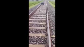 Train driver hits brakes to save man napping on tracks