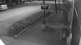 Woman survives savage attack by neighbour's five dogs while walking to work