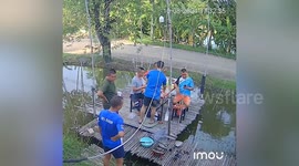 Picnic visitor falls into river when bamboo platform breaks