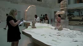 Germany: Thousands of visitors, including tourists and Berliners alike, thronged the streets of Berlin