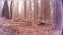 United States: Surge in activity of the California's Park Fire due to weather conditions