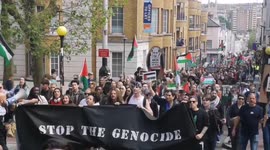 UK: Brighton protesters join international Swim With Gaza movement