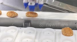 Intelligent Asia 2024 in Taipei, automate the distribution and packaging of food 2