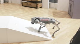 Intelligent Asia 2024 in Taipei, The robot dogs, Luffy and Nami [solomon] 3