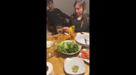 Dog Watches Dinner Party Through Window