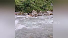 India: Fire Service police rescued the cow out of river with the help of a rope and took it out safely