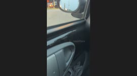 Donkey spotted outside McDonald's in Rotterdam, Netherlands