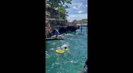 Toddler shows surprising bravery leaping into choppy sea