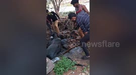 Social organisation resqued a cow fell into a safety tank in Shahdol, Madhya Pradesh
