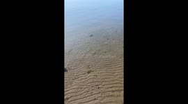 Finding 50 Dollars in the Water