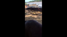 Child falls into boat and overturns as car moves in Marabá, Brazil