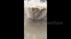 Sewer turn into fountain after heavy rain, sending fish sprawling across pavement in China