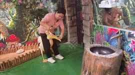 Staff come to rescue of pigeon being swallowed by pelican at Chinese zoo