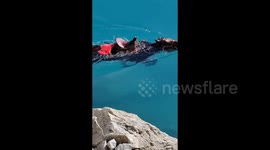 Hikers watch on helplessly as horse falls from trail into lake in northern China