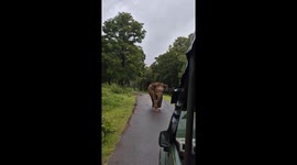 Elephant's mock charge captured in Nagarhole Tiger Reserve
