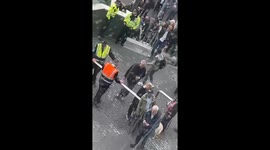 Hilarious game with stadium dog at Tottenham vs. Everton Match