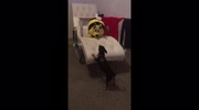 temp