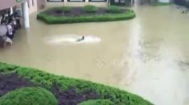 Student swims in floodwater in southeastern China