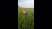 temp