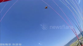 Eagle attacks paraglider over Turkish mountains