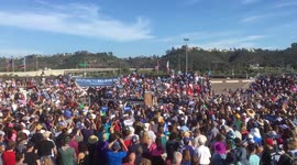 Shailene Woodley from the movie Divergence supporting Sanders