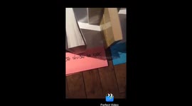 Comment jvais pas assumer https://t.co/AJJoisp0D5