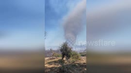 United States: Firenado Captured During Controlled Burn in Monroe County