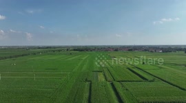 African student learns farming techniques in China's Hebei