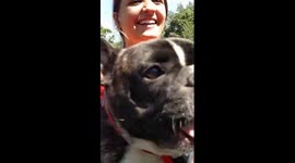 Molly the French bulldog’s excitement for the dog park is off the charts! Her enthusiastic bark sounds hilariously like a dolphin call, and it’s so funny that it’s guaranteed to make everyone laugh until they cry.