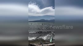 Moose family go for swim in Island Park, Idaho