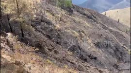 Ecuador and Peru work together to combat the forest fire on the border, which has already consumed more than 4,000 hectares